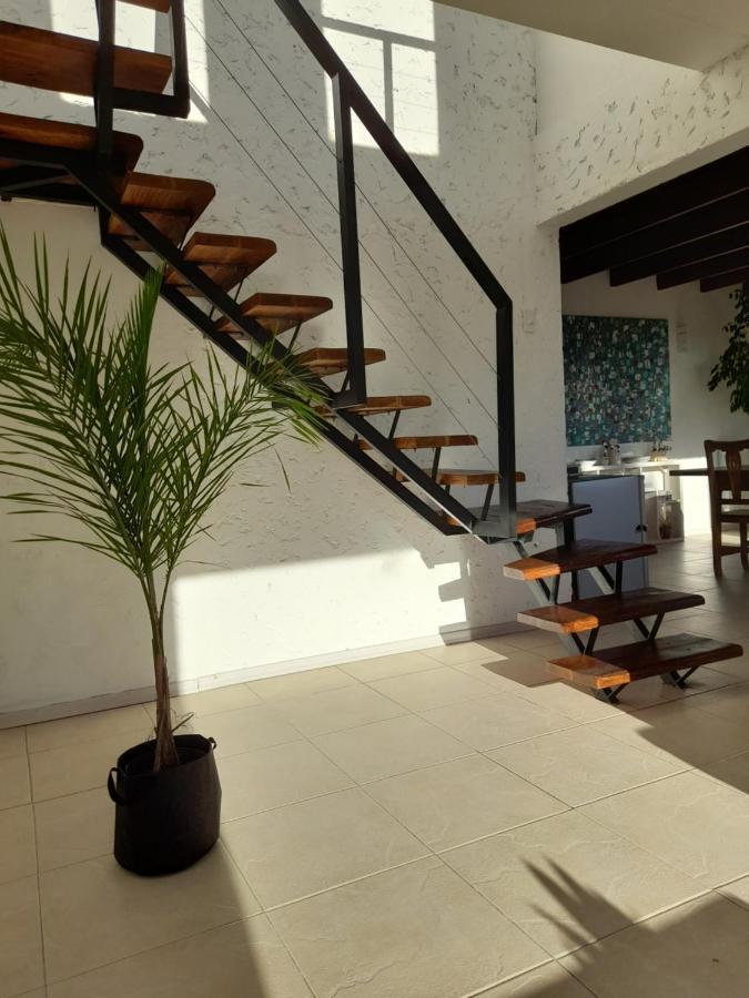 Apartamento CASA LUMINOSA CON PARQUE y VISTA ESPECTACULAR El Calafate Exterior foto